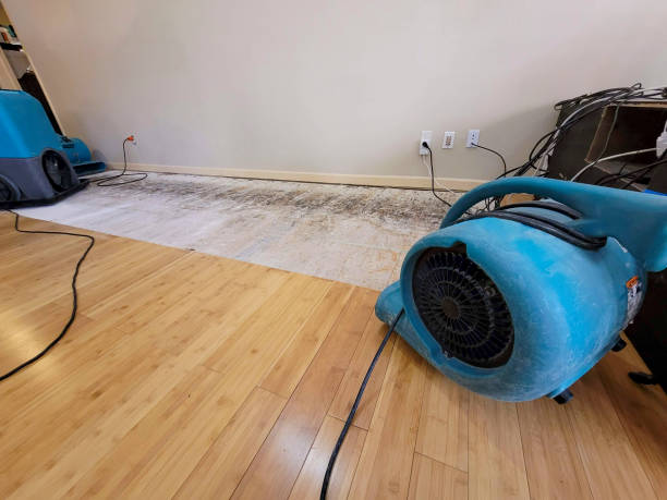 Professional Sewage Cleanup technician working in Ghent, NY
